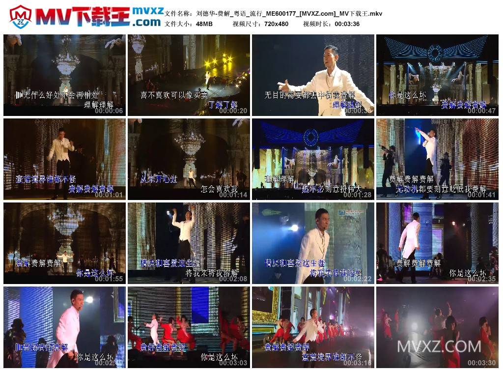 刘德华-费解_粤语_流行_ME600177